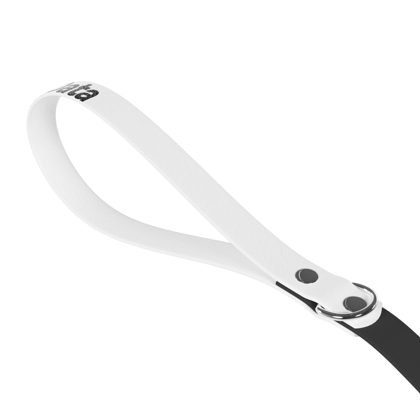 Leash